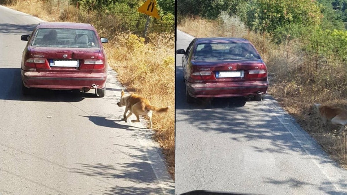 Εντοπίστηκε το αυτοκίνητο που είχαν δέσει σκύλο και τον έσερναν – Αναζητείται ο οδηγός
