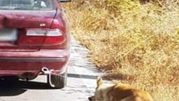 Συνελήφθη ο άνδρας που έσερνε το σκυλί με το αυτοκίνητό του