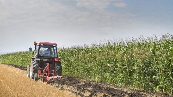 Αγρότες: Από τα μέσα Οκτωβρίου η καταβολή του 70% των άμεσων ενισχύσεων