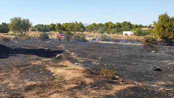 Οι πρώτες εικόνες από τη φωτιά στην Αρτέμιδα – ΒΙΝΤΕΟ