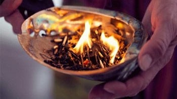 Σοκ στην Κύπρο από τον θάνατο 34χρονης σε τελετή σαμανισμού – Τι είναι το φονικό φυτό Ayahuasca