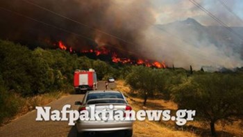 Ενισχύονται οι δυνάμεις της Πυροσβεστικής στη Φωκίδα – ΒΙΝΤΕΟ