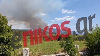 Σε ύφεση η πυρκαγιά στη Φωκίδα