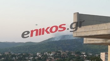 Επιχειρούν εναέρια μέσα στην πυρκαγιά στη Νέα Μάκρη – ΦΩΤΟ αναγνώστη