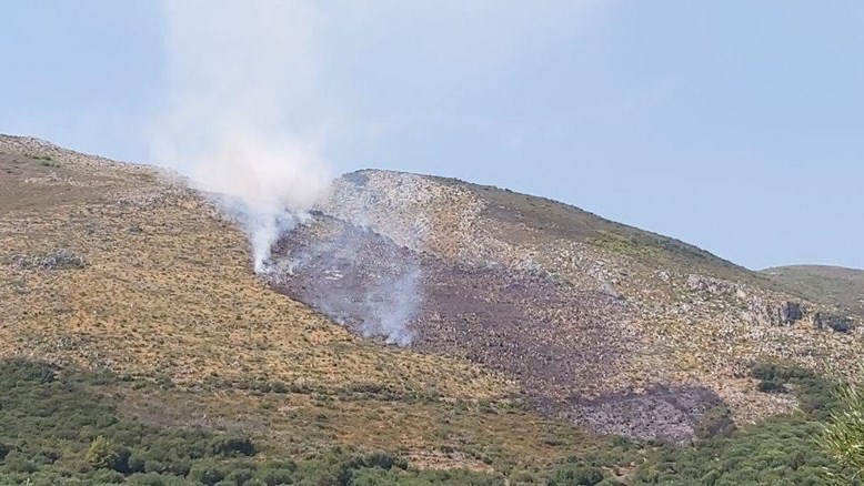 Αντιδήμαρχος Ζακύνθου στο enikos.gr : Δίνουμε μάχη να μην επεκταθεί η φωτιά