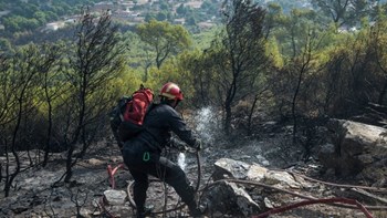 Σε εξέλιξη φωτιά στον Ταΰγετο