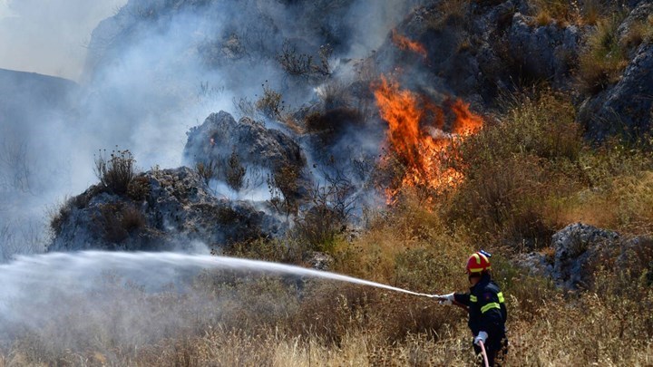 Υπό μερικό έλεγχο η πυρκαγιά στον Δομοκό