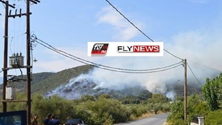 Οι πρώτες εικόνες από τη φωτιά στο Γύθειο – ΦΩΤΟ – ΒΙΝΤΕΟ