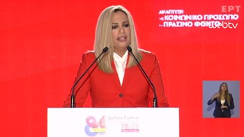 Γεννηματά: «Ομερτά» από ΝΔ και ΣΥΡΙΖΑ – Προσπαθούν να ρίξουν όλες τις ευθύνες στο ΠΑΣΟΚ – ΒΙΝΤΕΟ