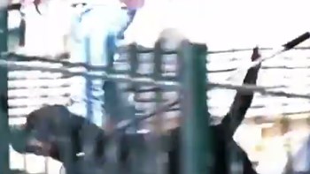 Συγκλονίζει η κατάθεση της μητέρας του βρέφους που τραυματίστηκε θανάσιμα από ροτβάιλερ: Είχε στο στόμα του το μωρό – ΒΙΝΤΕΟ