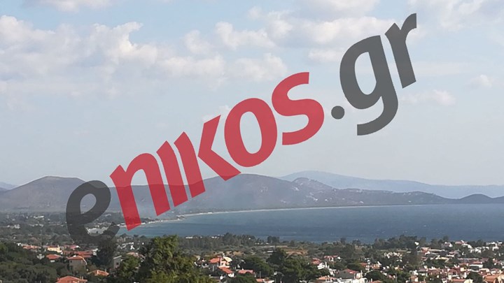 Οι πρώτες εικόνες από τη φωτιά στον Μαραθώνα – ΦΩΤΟ αναγνώστη – ΤΩΡΑ