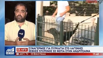 Σοκάρει η έκθεση του ιατροδικαστή για το βρέφος που κατασπάραξε το ροτβάιλερ: Το χτυπούσε σαν να ήταν κούκλα – ΒΙΝΤΕΟ