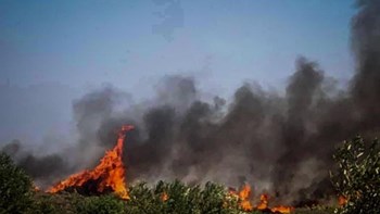 Πολύ υψηλός κίνδυνος πυρκαγιάς την Κυριακή – Ποιες περιοχές απειλούνται
