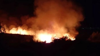 Φωτιά στην Κορυφή Ηλείας – ΤΩΡΑ