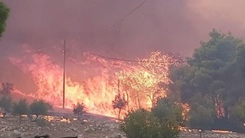 Υπεύθυνη Πολιτικής Προστασίας Αντιπεριφέρειας Ζακύνθου στο enikos.gr: Μία από τις χειρότερες φωτιές που βίωσε η Ζάκυνθος