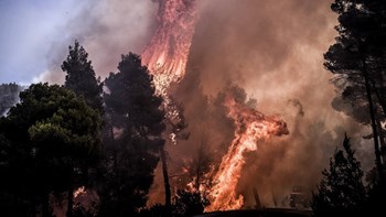 Σοκάρουν τα στοιχεία για τις πυρκαγιές στη χώρα μας: Κάηκε έκταση πρασίνου ίση με τη Σαλαμίνα ή τη Σκόπελο