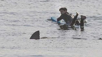Τρόμος για σέρφερ που ήρθε αντιμέτωπος με λευκό καρχαρία