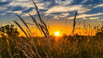 Καλοκαιρινή η Κυριακή: Υψηλές θερμοκρασίες και ηλιοφάνεια