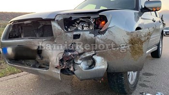 Σφοδρή σύγκρουση αυτοκινήτου με αγριογούρουνο στη Φθιώτιδα – ΦΩΤΟ