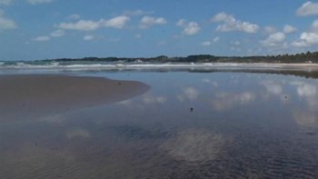 Συναγερμός στη Βραζιλία: Μαύρισαν οι διασημότερες παραλίες της – Τι εξετάζουν οι αρχές – ΒΙΝΤΕΟ