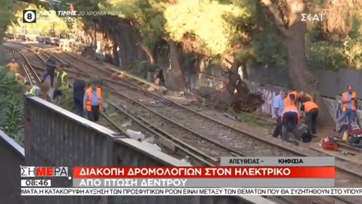 Διακοπή δρομολογίων του τρένου λόγω πτώσης δέντρου – Εργασίες για την αποκατάσταση της γραμμής – ΒΙΝΤΕΟ