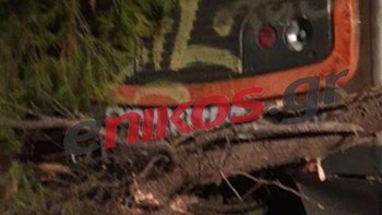 ΦΩΤΟ αναγνώστη από το δέντρο που προκάλεσε διακοπή των δρομολογίων του ΗΣΑΠ