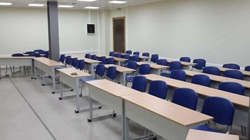 Η ανακοίνωση του ΑΠΘ για τους ψύλλους στο Πανεπιστήμιο: Η κλειδωμένη αποθήκη, η γάτα και ο ψεκασμός όλου του κτιρίου