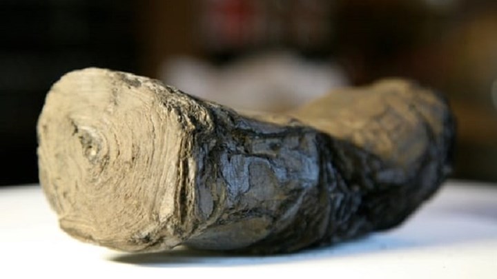 “Ξετυλίγονται” τα μυστικά των καμένων παπύρων του Βεζούβιου – ΦΩΤΟ