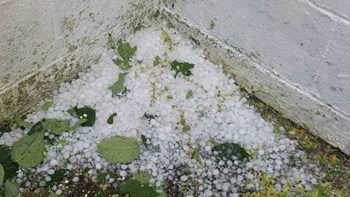 Ισχυρή χαλαζόπτωση στα Τρίκαλα – Τεράστιες καταστροφές στις καλλιέργειες