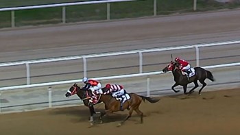 Έρχεται μια γευστική ιπποδρομιακή εμπειρία στο Markopoulo Park – Τέσσερα κορυφαία ονόματα της γαστρονομίας μαγειρεύουν για το κοινό