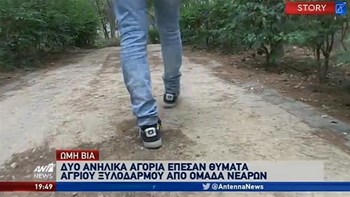 Συγκλονίζει η μητέρα του μαθητή που έπεσε θύμα ξυλοδαρμού στο Αιγάλεω – ΒΙΝΤΕΟ