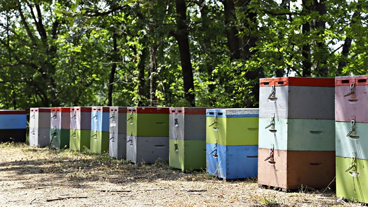 Οι νέες τεχνολογίες δεν θα αφήσουν κανένα κλάδο ανεπηρέαστο