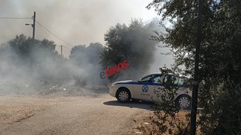 Οι πρώτες εικόνες από τη φωτιά στην Κηφισιά – ΦΩΤΟ αναγνώστη