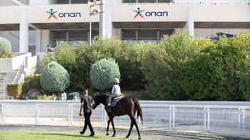 Το Grand Prix 28ης Οκτωβρίου μαγνητίζει τα βλέμματα την Κυριακή στο Markopoulo Park