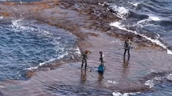 Τρεις έφηβοι βρέθηκαν περικυκλωμένοι από έξι καρχαρίες – Πώς κατάφεραν να γλιτώσουν – ΒΙΝΤΕΟ