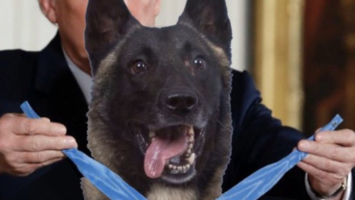 Ο Τραμπ “παρασημοφόρησε” εικονικά τον σκύλο που κυνήγησε τον αλ Μπαγκντάντι – ΦΩΤΟ