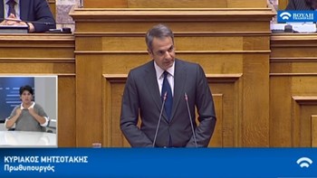 Μητσοτάκης: Έτσι όπως θαυμάζω τον Αντετοκούνμπο έτσι καμάρωσα και την αριστούχο μαθήτρια από την Αφρική που κρατούσε τη γαλανόλευκη – ΒΙΝΤΕΟ