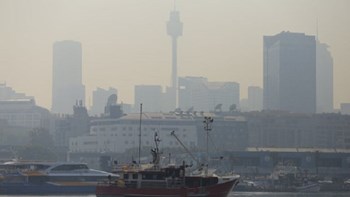 Συναγερμός στο Σίδνεϊ – Οι πυρκαγιές προκαλούν νέφος καπνού που καλύπτει την πόλη