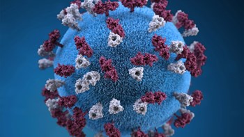 Ανησυχητική έρευνα: Η ιλαρά καταστρέφει το ανοσοποιητικό σύστημα