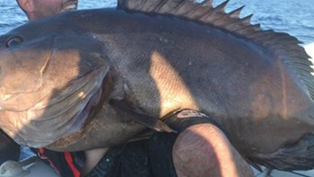 Έκανε την ψαριά της… ζωής του – Έπιασε “βλάχο” 47 κιλών – ΦΩΤΟ