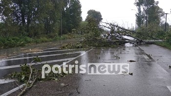 Σφοδρή νεροποντή έπληξε την Ηλεία: Έκλεισε η εθνική οδός από πτώσεις δέντρων – ΦΩΤΟ