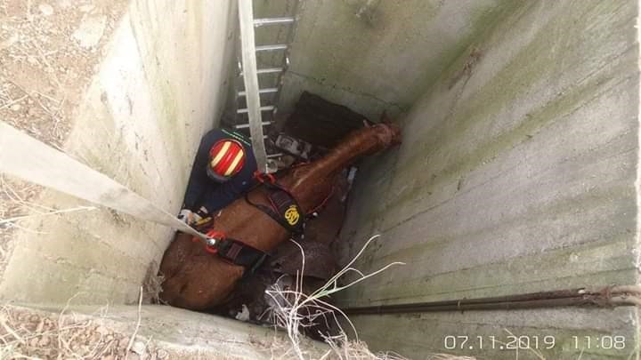 Άλογο έπεσε σε φρεάτιο στην Ξάνθη – ΦΩΤΟ