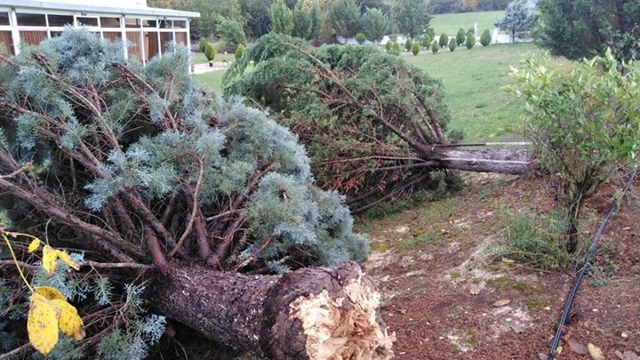 Καταιγίδες, ισχυροί άνεμοι και ανεμοστρόβιλοι έπληξαν την Ήπειρο – ΦΩΤΟ