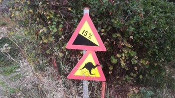 Πινακίδες με… καγκουρό και καμήλες στους δρόμους του Πηλίου – ΦΩΤΟ