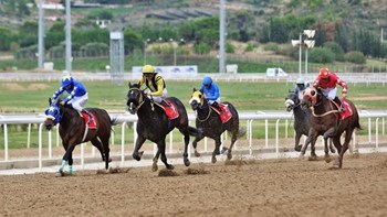 Markopoulo Park: Επικράτησαν τα φαβορί και μοίρασαν κέρδη σε 130 νικητές στο ΣΚΟΡ 6