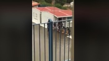 Κακοκαιρία “Βικτώρια”: Έφτιαξαν… γέφυρα από καρέκλες για να βγουν από πλημμυρισμένο σχολείο στην Κρήτη – ΒΙΝΤΕΟ
