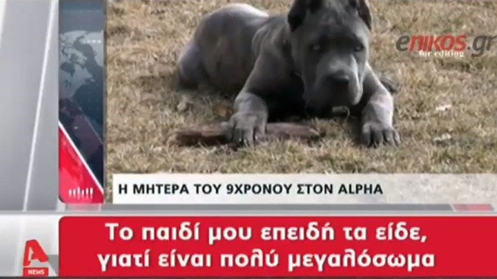 Σοκάρει η περιγραφή της μητέρας του 9χρονου που δέχτηκε επίθεση από σκύλους: To παιδί μου είναι πετσοκομμένο – ΒΙΝΤΕΟ