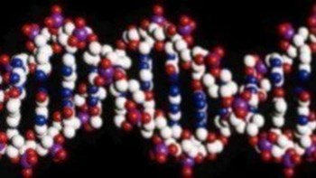 Σπάνια γονίδια προδιαθέτουν για αιφνίδιο καρδιακό θάνατο σύμφωνα με έρευνα