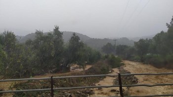 Μεσσηνία: Προβλήματα από πλημμύρες στο δήμο Οιχαλίας – Σε εφαρμογή το σχέδιο «Ξενοκράτης» – ΦΩΤΟ