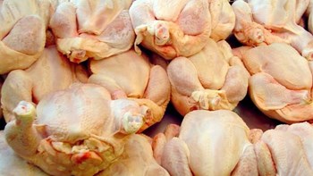 Κατασχέθηκαν ακατάλληλα κοτόπουλα σε ψητοπωλείο του Πειραιά